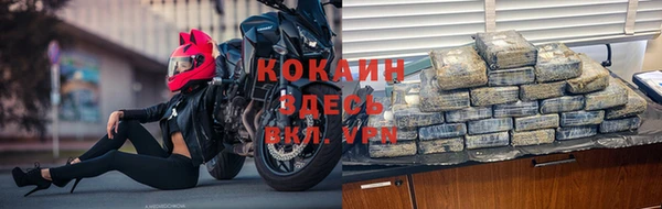 прущие грибы Сосновка