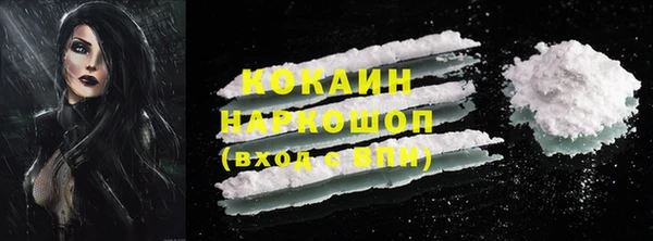 прущие грибы Сосновка
