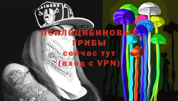 прущие грибы Сосновка