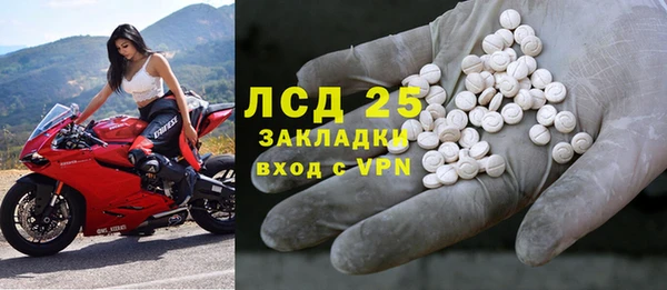 прущие грибы Сосновка