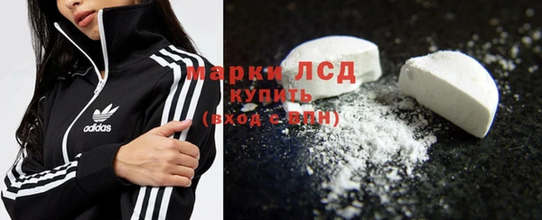 прущие грибы Сосновка