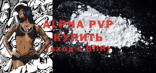 прущие грибы Сосновка