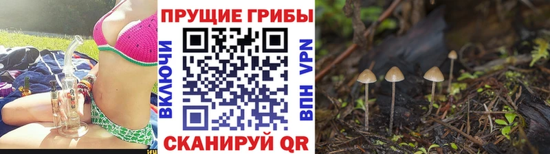Галлюциногенные грибы Psilocybine cubensis  даркнет сайт  ОМГ ОМГ зеркало  Ясный 