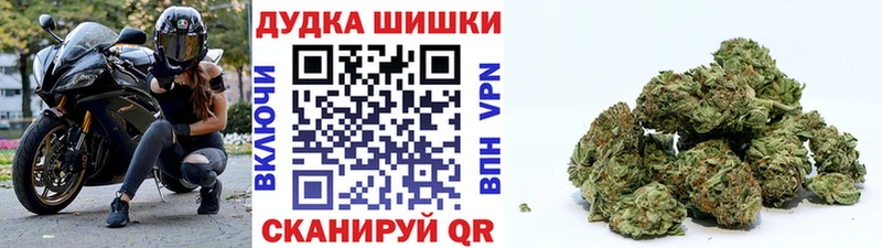 MEGA как зайти  Ясный  Шишки марихуана ГИДРОПОН 